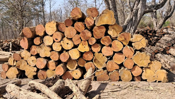 7 Feet TeakWood Logs