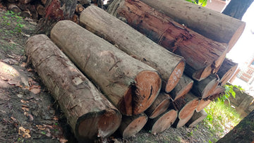 4 Feet Sal Wood Logs