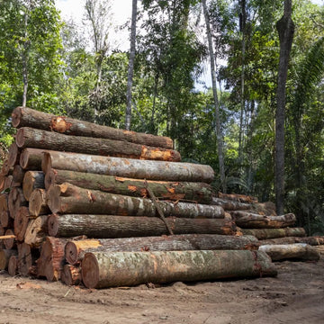 7 Feet Teak Wood Logs